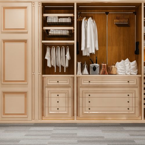 Minimal Scandinavian wood walk in closet with wardrobe